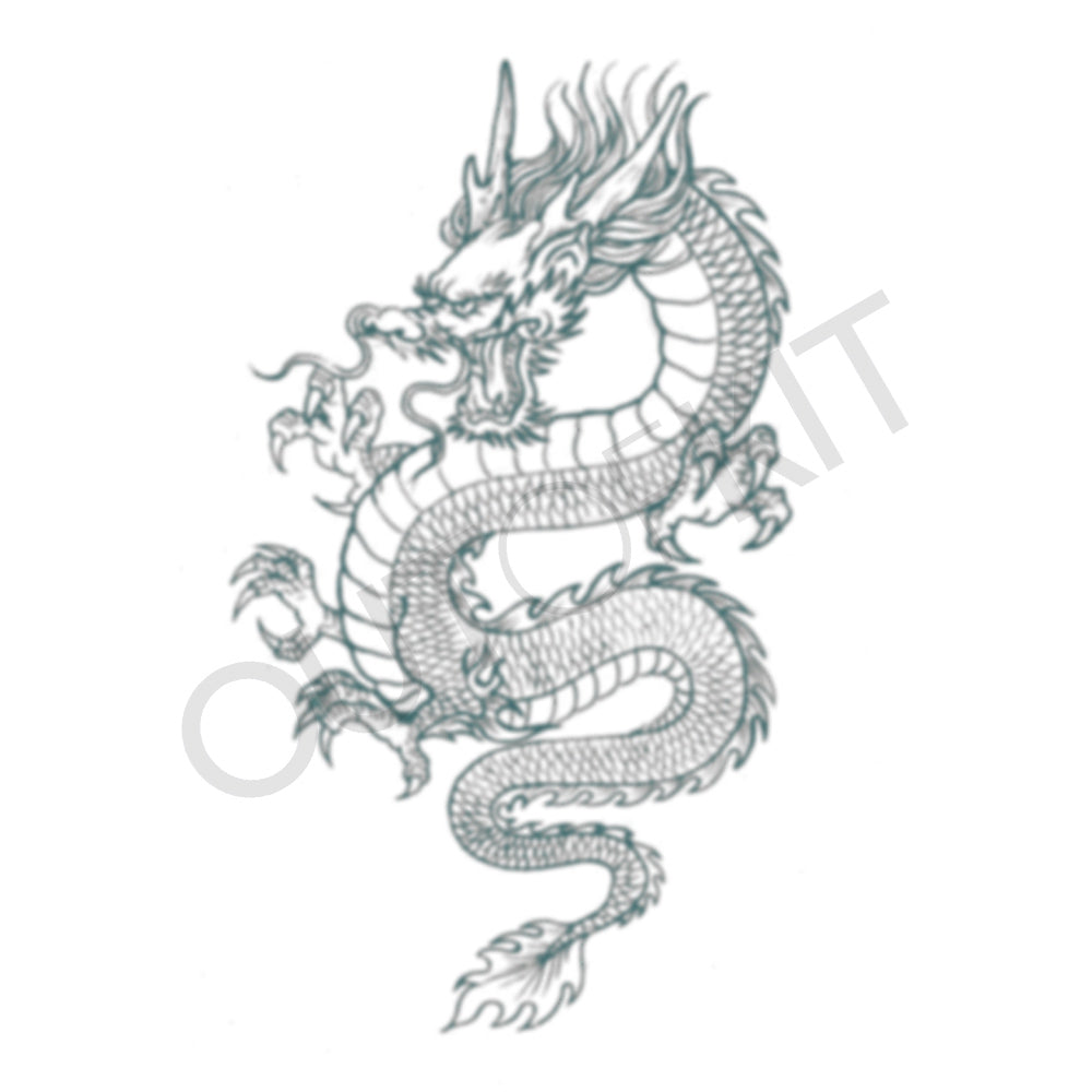 voorkoms Lion And Dragon Tattoo Temporary Tattoo Stickers For Male And  Female Fake Tattoo - Price in India, Buy voorkoms Lion And Dragon Tattoo  Temporary Tattoo Stickers For Male And Female Fake